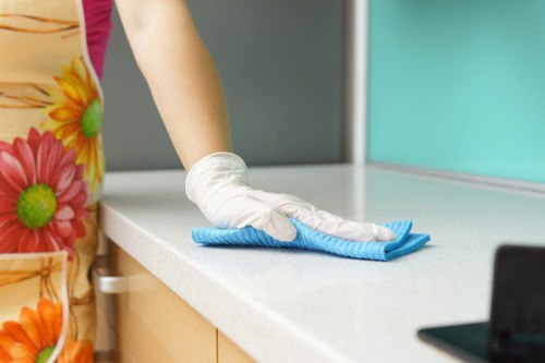 Professional carpet cleaning work under customer responsibilities