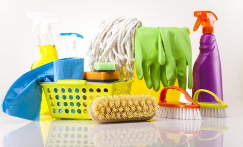 Professional upholstery cleaning in a Poplar living room