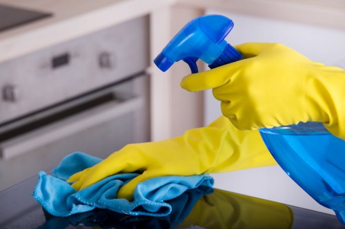 Odour removal treatment for pet accidents on a home floor in Poplar