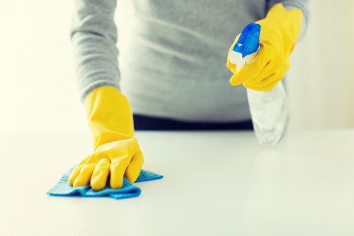 Technician inspecting pet stain on upholstery in Poplar