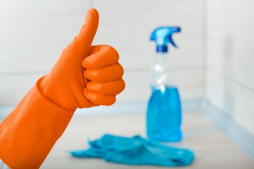 Eco-friendly carpet cleaning service for homes and businesses in Poplar