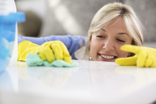 Deep cleaning stains from a sofa upholstery in Poplar