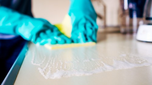Fresh clean interior after pet stain odour removal in Poplar