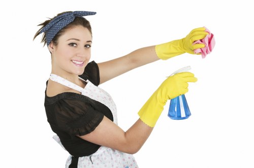 Cleaning supplies used for stain removal in poplar