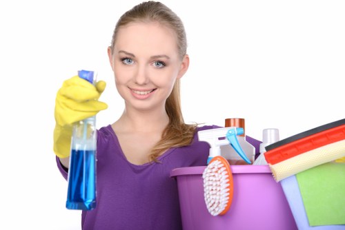 Screen-reader support for accessible carpet cleaning website